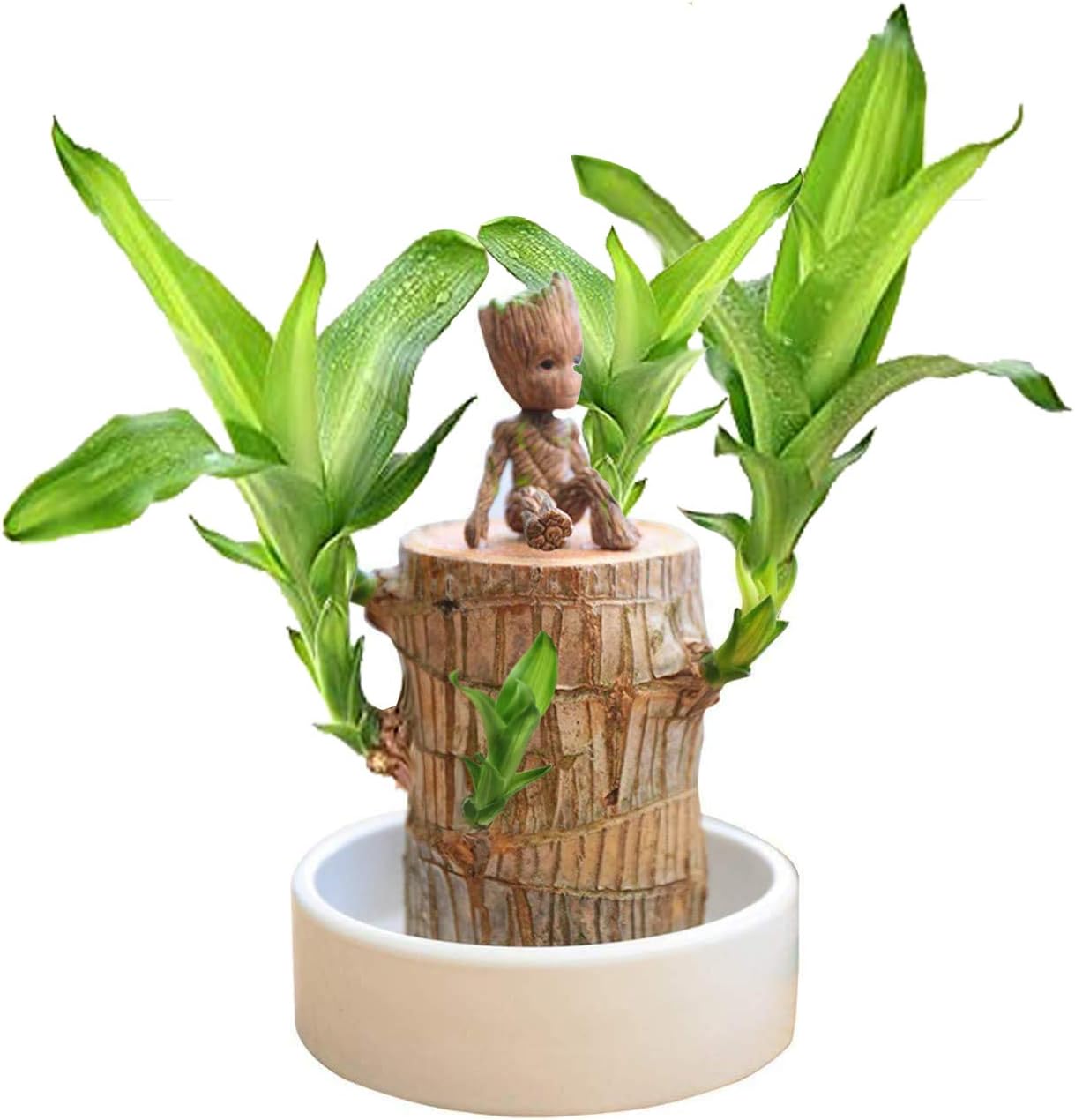 thumbnail image 2 of Holloyiver Brazilian Wood Pallet White Ceramic Saucer, Office Desk Decorations Plant Pot Base Jewelry Tray, Office Decor Brazilian Wood Ceramic Tray Decor Tray The Dish Ceramics Flowerpot 4 4i 2 of 9