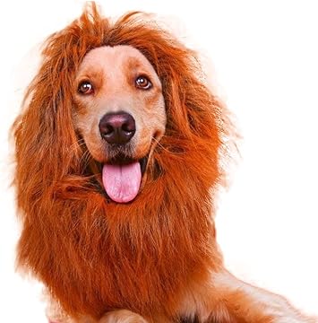 Amazon Sebles ペット 犬 猫 ドッグ キャット なりきり ライオン 鬣 たてがみ レオ Lion ブラウン 小型犬 中型犬 L Sebles コスチューム 通販
