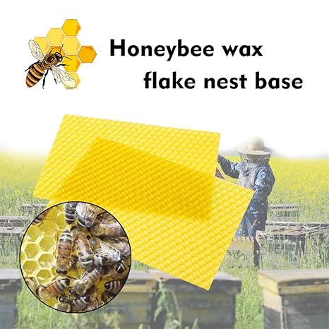 Webla - Honeycomb Bienenwachs Basis Bienenstock Wachsrahmen Bienenwabenrahmen Basisblätter