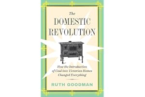 The Domestic Revolution: How the Introduction of Coal into Victorian Homes Changed Everything