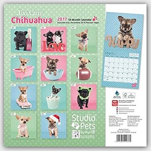 Too Cute Chihuahua - Chihuahuas 2017 - 18-Monatskalender
