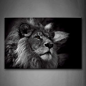 Black and White Gray Lion Head Portrait Wall Art Painting Pictures Print On Canvas Animal The Picture for Home Modern Decoration