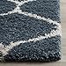 SAFAVIEH Hudson Shag Collection Area Rug - 5'3