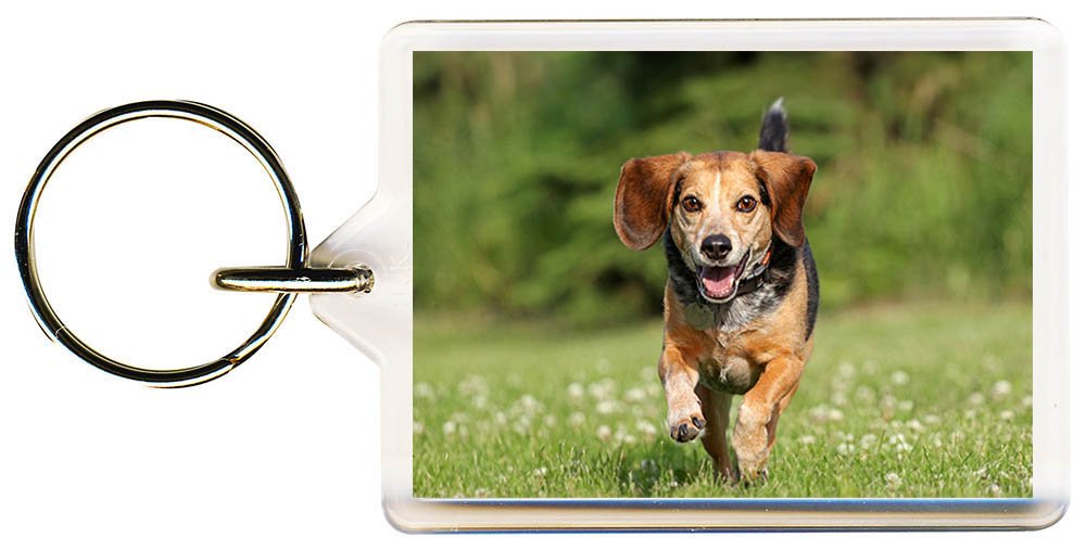 S8keMedia Beagle Keyring 50mm x 35mm