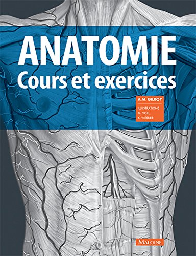 Anatomie