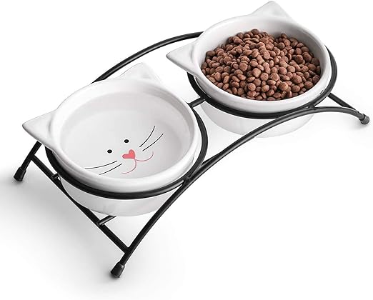 cat dishes amazon