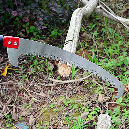 Pole Purning Saw Head Gardening Pole Saw Hand Pole Saw Precision
