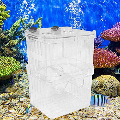 ttnight Acrylic Fish Tank Breeding Box Aquarium Double Guppies Hatching Incubator