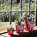 Aquaphoric Self Watering Planter (5”) + Fiber Soil = Foolproof Indoor Home Garden. Decorative Planter Pot for All Plants, Flowers, Herbs, African