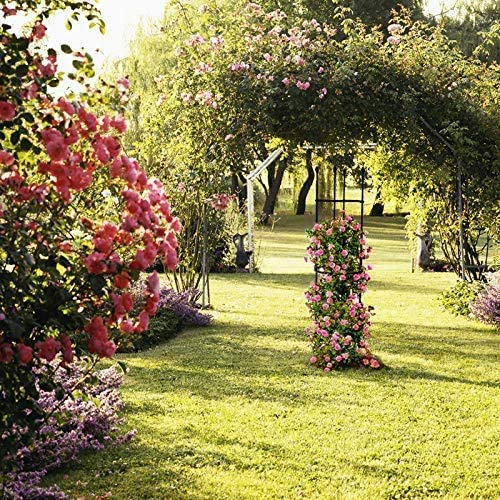 CJSWT Rankhilfe, Rankobelisk,Rankgerüst Kletterpflanzen,Gartenpflanze Support Käfige, Metall Obelisk, Garten Obelisk… – Bild 6
