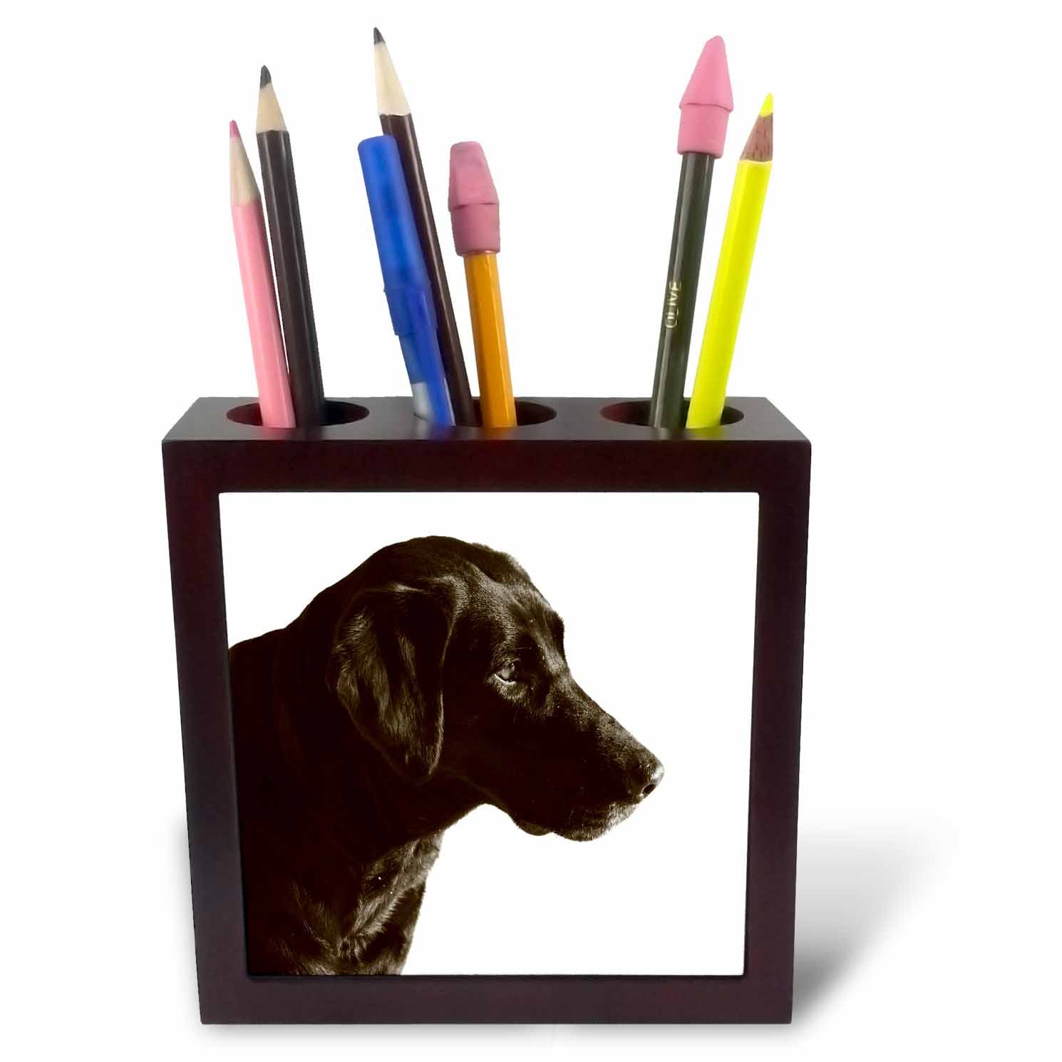3dRose ph_203710_1 5-Inch Print of Chocolate Lab Portrait Tile Pen Holder