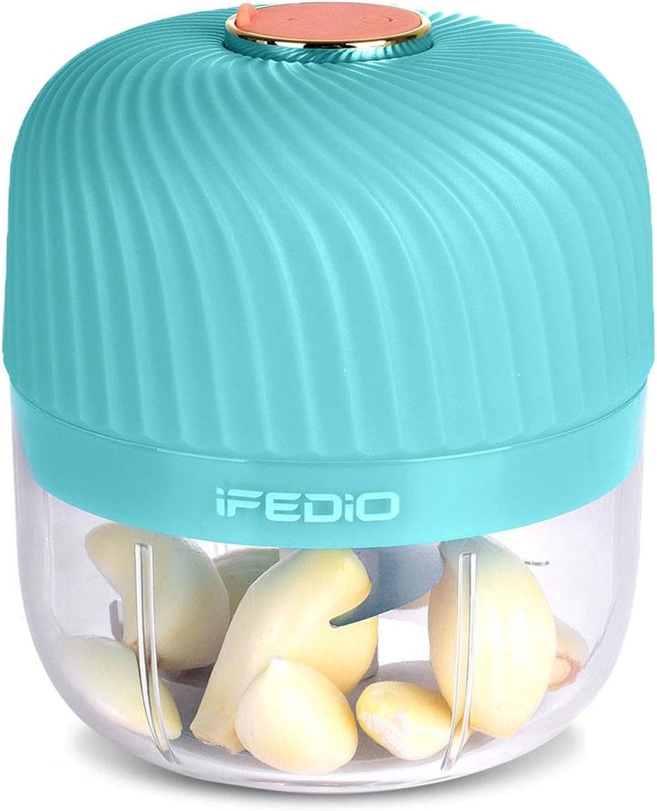 iFedio Garlic Chopper, Wireless Mini Grinder Portable Electric Kitchen Masher, Spice Chili Ginger Onion Vegetable Fruit Mincer Blender for Food 250 ML (Tiffany Blue) (250ml)