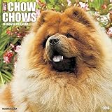 2016 Just Chow Chows Wall Calendar