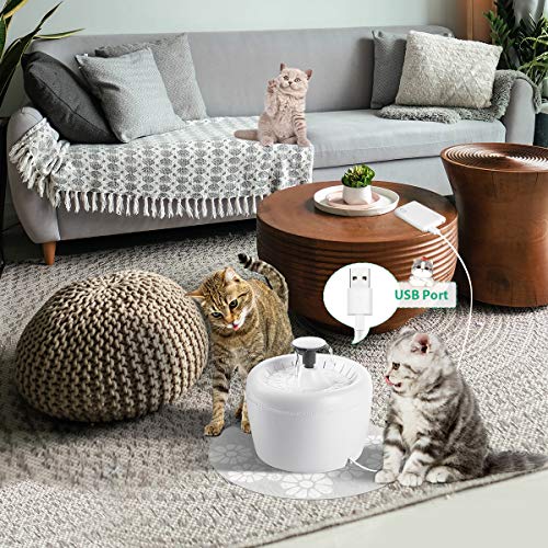 URPOWER Cat Water Fountain 84oz/2.5L Upgraded Automatic Pet Water Dispenser with Replacement