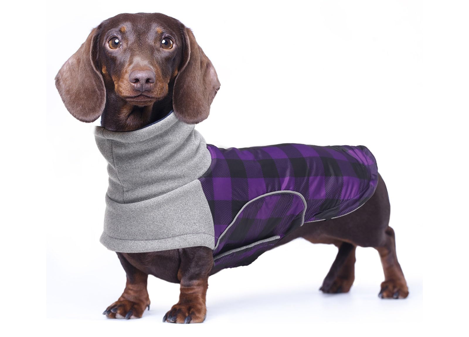babepet Waterproof Small Dog Winter Coat,Dachshund Coat Clothes,Miniature Dachshund Jacket,Pet Garment Ideal for Walking,Hiking,Camping-Purple Plaid-M
