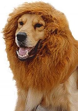 Amazon リタプロショップ 愛犬がライオンに変身 たてがみウィッグ 犬用 ペット用 帽子 コスチューム ヘアアクセサリー 被り物 リタプロショップ コスチューム 通販 Amazon リタプロショップ 愛犬がライオンに変身 たてがみウィッグ 犬用 ペット用 帽子 コスチューム ヘアアクセサリー 被り物 リタプロショップ コスチューム 通販
