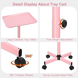 JOSTZHXIN Salon Tray, Height Adjustable Salon SPA