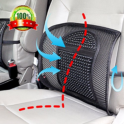 Double Mesh Lumbar Support Chair Cushion Waist Lower Back Supportive Cushions,Ice Silk Chair Seating Support Cushion for Car Home Office,Upgraded Breathable Seat Chair Sofa Lumbar BACK WAIST Support
