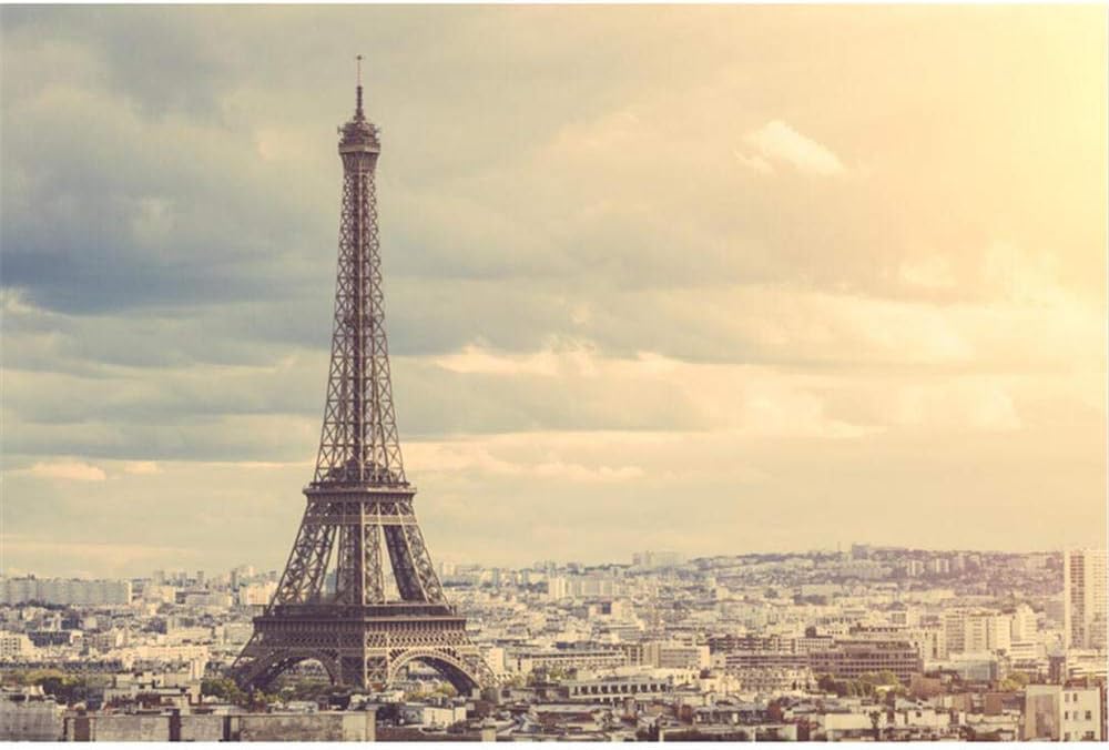 MXXHS Jigsaw Puzzle 1000 Piece Paris Tower Under The Sunset Funny Jigsaw Puzzles Wooden For Adults 1000 Piece 75x50cm Is the best gift for friends and family