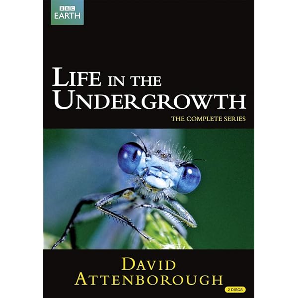 Life of Birds (Full Screen) [3 Discs]: Amazon.ca: David