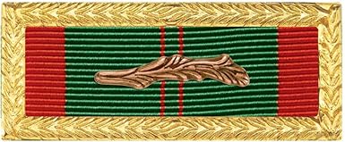 Amazon Com Rvn Civic Action Honor Unit Citation With Palm Army Clothing
