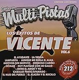 Karaoke: Vicente Fernandez - Exitos 6