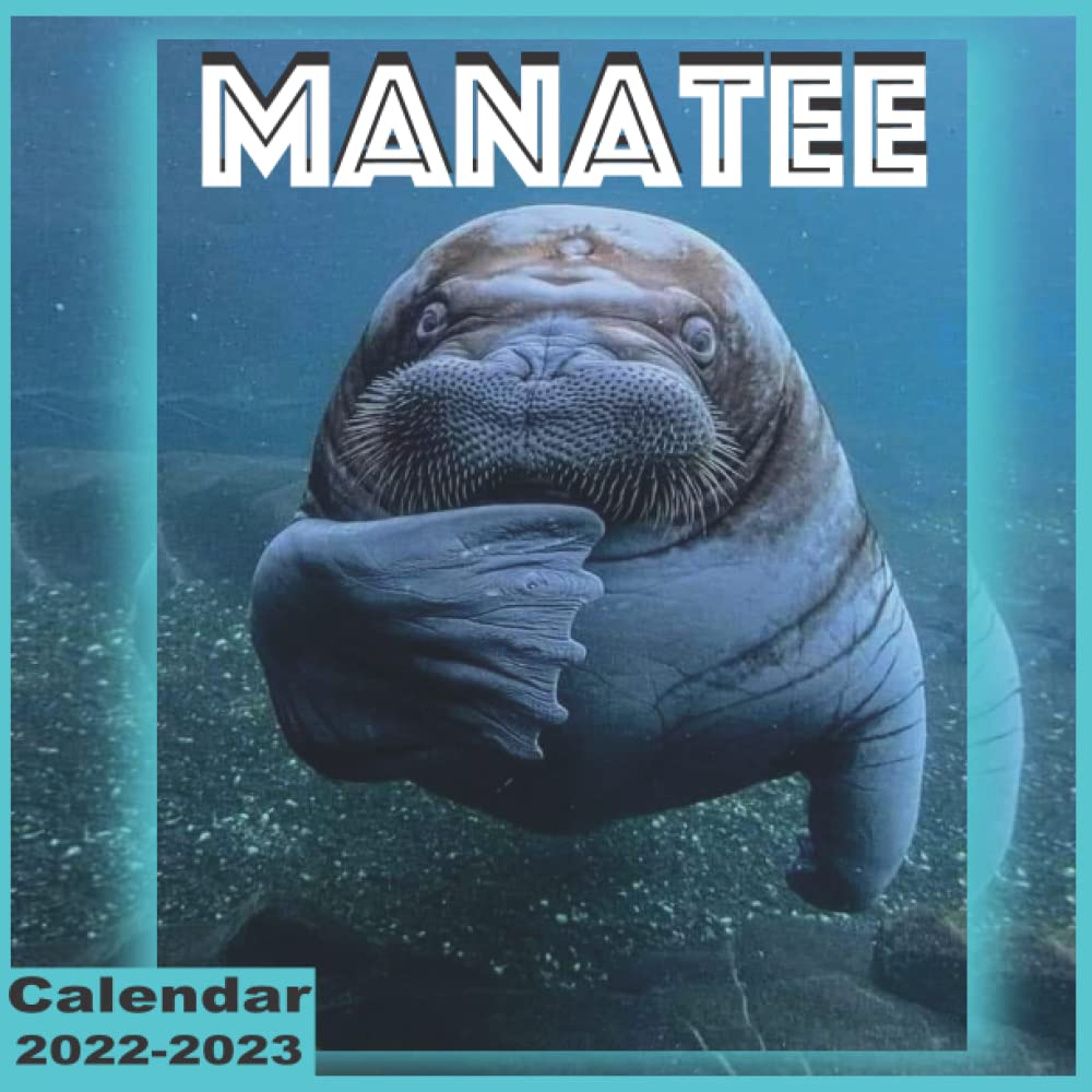 Manatee Calendar 2022-2023: Great 2022 Calendar For Any Fans With 8.5'' X 8.5''"Glossy Finish" - Big Space For Note And Scheduling (French Edition): Boss Idir: 9798766107361: Amazon.com: Books