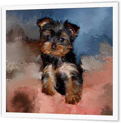 how long are yorkies in heat