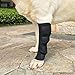 Zunea Dog Canine Rear Leg Brace Hock Joint Wrap Protector Torn ACL, 2Pack Hind Leg Compression Sleeve Extra Supportive Loss Stability, Wound Injury Sprain Healing Arthritis - Black L