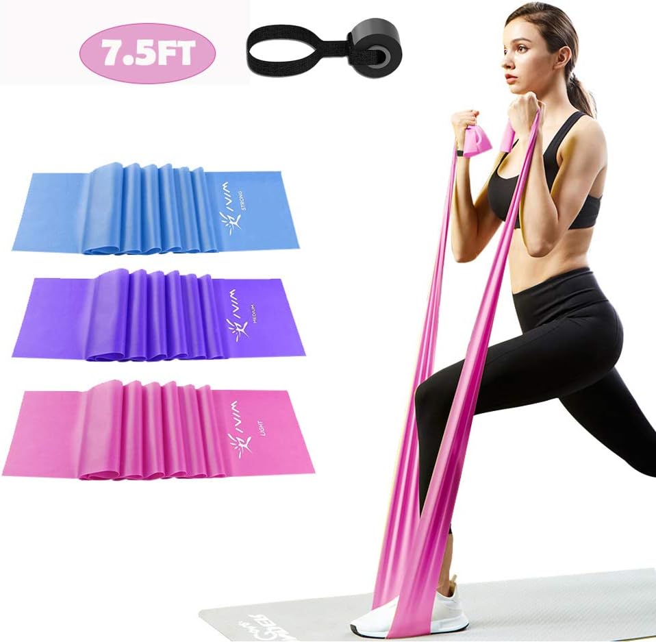 Risefit Flat Resistance Bands Set 3 Pack with Door Anchor and Carry Bag