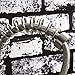 Rozin Brushed Nickel Pull Down Kitchen Sink Faucet Swivel Spout Brass Mixer Tap