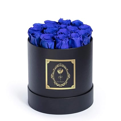 Amazoncom Fleur Magique Preserved Roses Medium Round