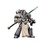 JoyToy Warhammer 40K Space Marine Genuine License