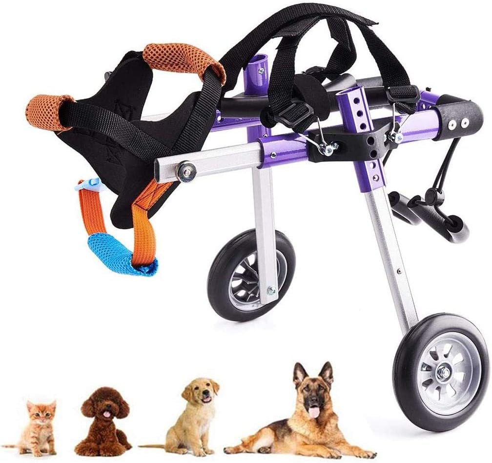 toys for the handicapped