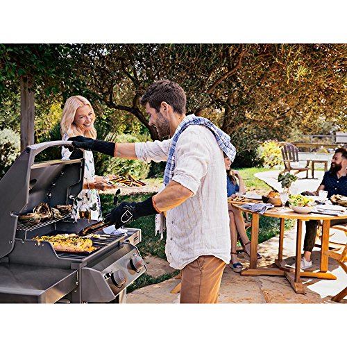 er Spirit II E210 2Burner Natural Gas Grill in Black Pricepulse