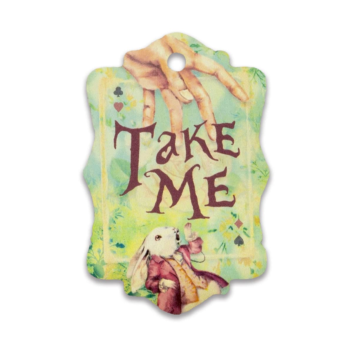 Summer-Ray 50pcs Alice in the Wonderland Theme Gift Tags Favour Tags (Take Me)