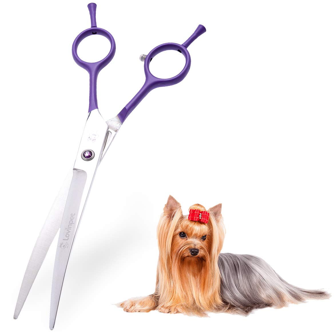 LovinPet Dog Grooming Scissors/grooming Scissors for Dogs/curved Scissors for Dog Grooming/dog Scissors for Grooming/left/right-handed Safety Blunt-tip Dog Scissors for Grooming Eyes for Dogs And Cats