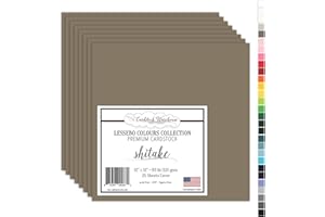 Cardstock Warehouse Lessebo Colours Shitake - 12 x 12" - 83 Lb. / 225 Gsm Matte Premium Cardstock Paper - 25 Sheets