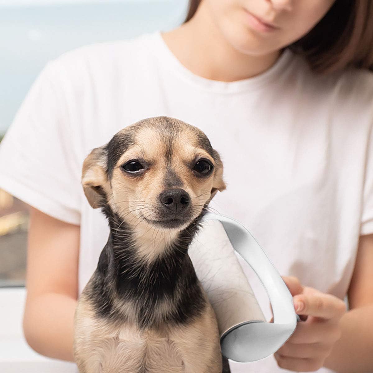 GOLOVD Lint Rollers for Pet Hair Extra Sticky, Lint Remover [240 Sheets/4 Refills], Lint Roller Set Brush for Dog Cat Hair Removal, Clothes, Furniture, Laundry, Sheets, Shoe, Bed, Couch: Kitchen & Dining