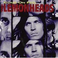 Amazon.com: Car Button Cloth - (Deluxe Expanded 'Clothbound