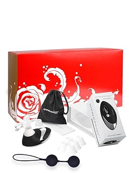 Womanizer Sparbox: Womanizer Pro W500 Chrome/Schwarz + 5 Ersatzköpfe + Soft Touch Liebeskugel
