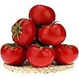 Gresorth 6pcs Artificial Lifelike Simulation Tomato Fake Fruit Vegetable Home Party Kitchen Decoration Food Toy