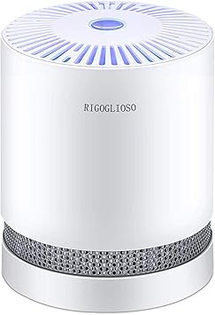 Rigoglioso True Hepa Filter Luftreiniger Fur Raucher Zu Hause Pollen Und Haustierhaar Desktop Luftreiniger Mit Nachtlicht Ohne Ozon Gl 2109 Amazon De Baumarkt