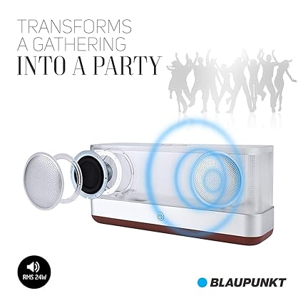 blaupunkt bt 201