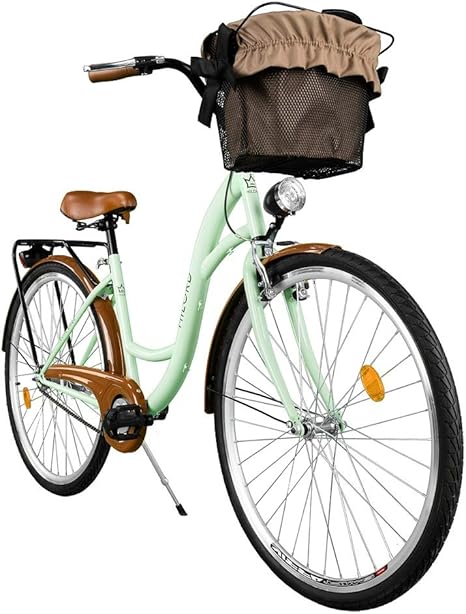 dutch bike with basket