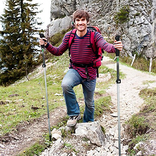 LoveisCool 2 Pack Trekking Poles - Folding, Collapsible, Adjustable,and Ultralight - Perfect for Hiking, Walking, Backpacking and Snowshoeing (green)