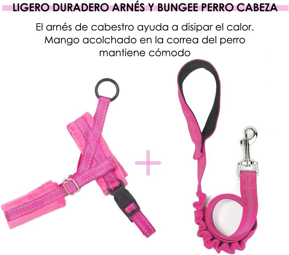 Eyein Small Dog Harness & Lead - Image 4