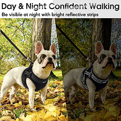 rabbitgoo Small Dog Harness, Soft Mesh Dog Harness with 4 Adjustable