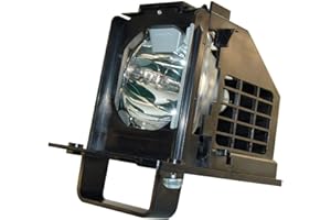 BORYLI 915B441001 Replacement Lamp with Housing for WD-65638,WD-60738,WD-60C10,WD-73638,WD-73738, WD-73C10, WD-82838, WD-73838,WD-65C10 915B441001 Projection lamp