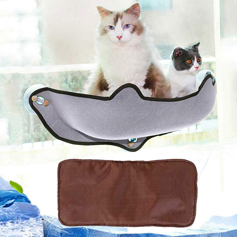 Best cat in a hammock